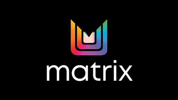 Matrix professional hair color log